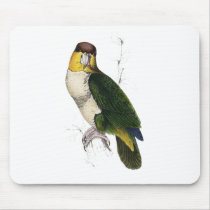 Bay-Headed Parrot by Edward Lear Mouse Mat