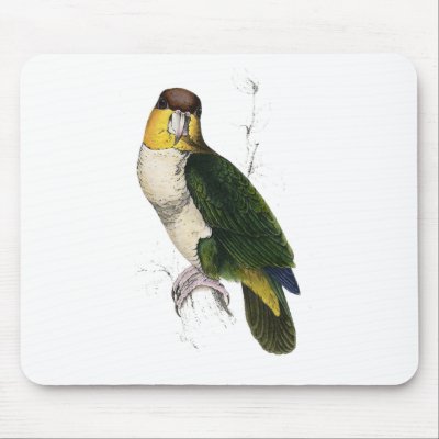 Bay-Headed Parrot by Edward Lear Mouse Mat by DejaVuParrots