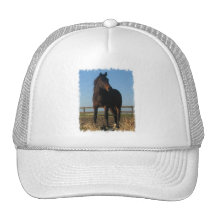 Bay Horse Baseball Hat