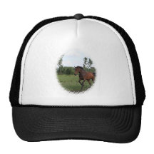 Bay Horse Baseball Hat