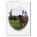 Bay Horse Card