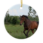 Bay Horse Design Ornament