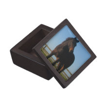 Bay Horse Gift Box Premium Gift Boxes
