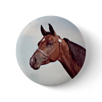 Bay Horse Head Study buttons by DocPixel Bay Horse Head Study buttons