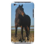 Bay Horse iTouch Case iPod Case-Mate Cases