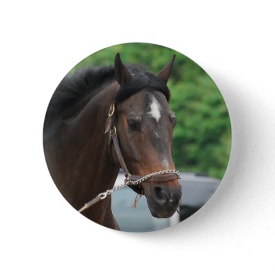 Bay Horse Lunging Button by HorseStall