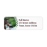 Bay Horse Lunging Mailing Label