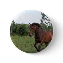 Bay Horse Pin