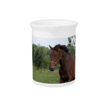 Bay Horse Pitcher