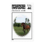 Bay Horse Postal Stamp