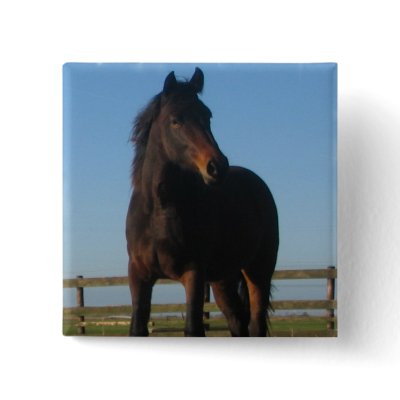 Bay Horse Square Pin by HorseStall