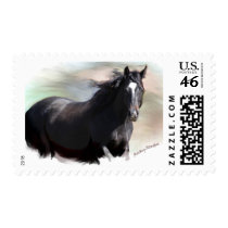 Bay Horse Stamp