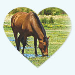 Bay Horse stickers