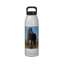 Bay Horse Water Bottle 
