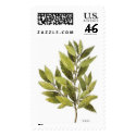 Bay Laurel postage by aurall Bay Laurel postage