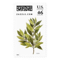 Bay Laurel postage by aurall Bay Laurel postage