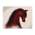 Bay Mare ~ Blank Postcard by ColtsCanines Bay Mare ~ Blank Postcard