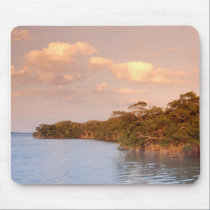 Bay mousepads