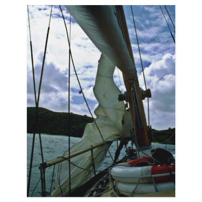 Bay Of Islands Flyer by BreathtakingNature
