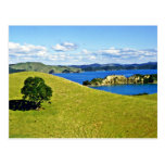 Bay Of Islands, North Island Postcards