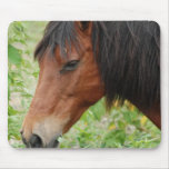 Bay Paso Fino Mouse Pad
