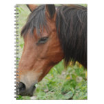 Bay Paso Fino Notebook