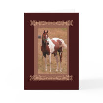 Bay Pinto Greeting cards by RookyStudios Bay Pinto Greeting cards