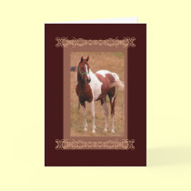 Bay Pinto Greeting cards