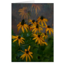 Bay Point Rudbeckia Greeting Card