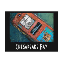 Bay Pollution Postcard