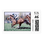 Bay Racehorse at Little Everglades Steeplechase postage
