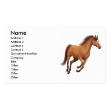 Bay Show Horse Business Card