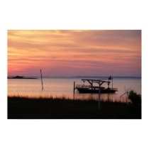 BAY SHRIMPER posters