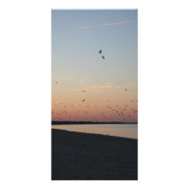 Bay sunset photo cards by mrshoyt3 Bay sunset photo cards