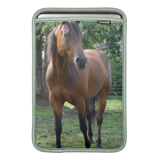 Bay Thoroughbred Horse  11" MacBook Sleeve