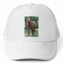 Bay Thoroughbred Horse Baseball Cap Trucker Hat