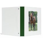 Bay Thoroughbred Horse Binder