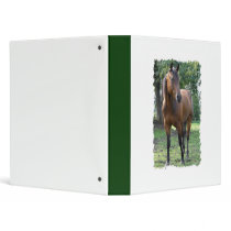 Bay Thoroughbred Horse Binder