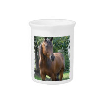 Bay Thoroughbred Horse  Pitcher