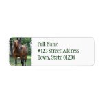 Bay Thoroughbred Horse Return Address Label