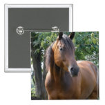 Bay Thoroughbred Horse Square Pin