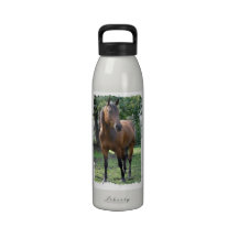 Bay Thoroughbred Horse  Water Bottle