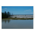 Bay To Gulf of Mexico Card