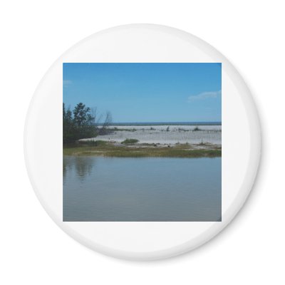 Bay To Gulf of Mexico Fridge Magnets by Debrene