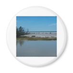 Bay To Gulf of Mexico magnets