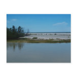 Bay To Gulf of Mexico Post Card