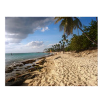Bayahibe Beach posters by BRDS91 Bayahibe Beach posters