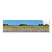 Bayhead in Sawgrass Bumper Sticker