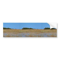 Bayhead in Sawgrass Bumper Stickers