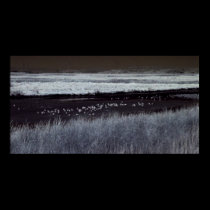 Bayland Trail posters